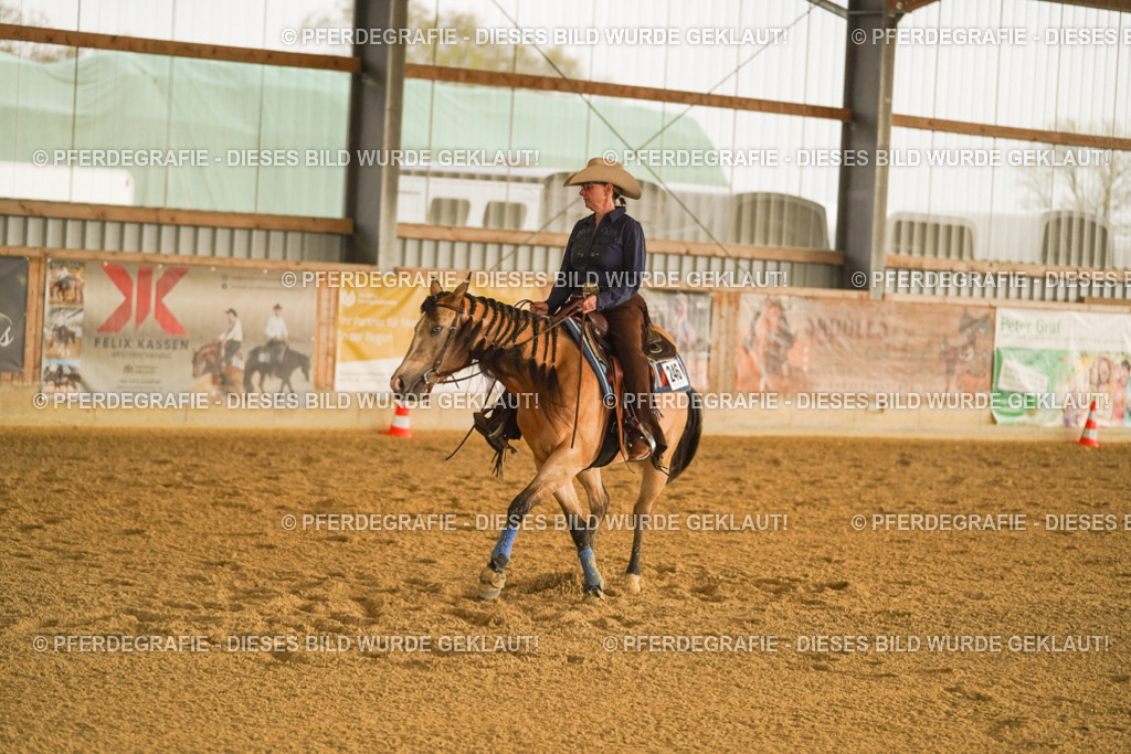 DSC09561 | Pferdegrafie