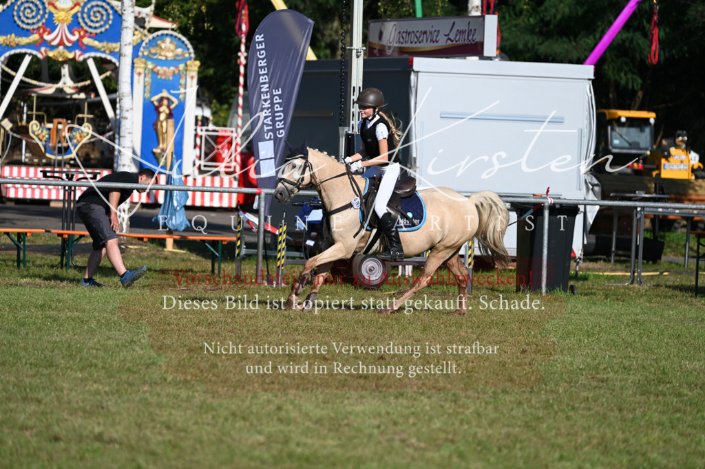 DSC_4917 | Pferde- und Turnierfotografie in Westsachsen. Pferdeportraits, Auftragszeichnungen und intuitive Kunst.