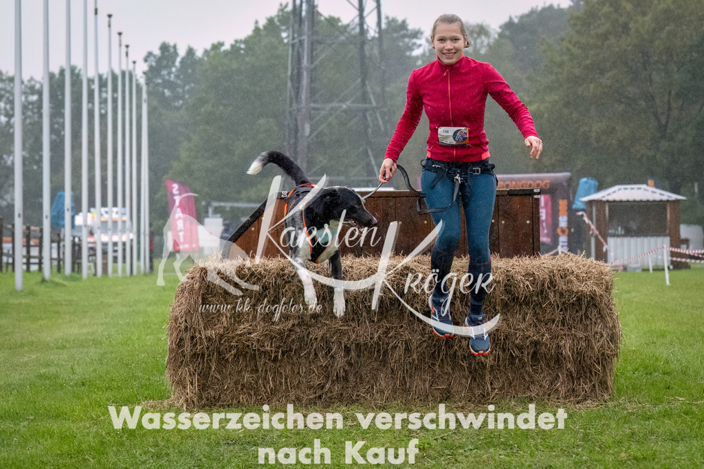 0915-_ZZ93708-Bearbeitet | kk-dogfotos