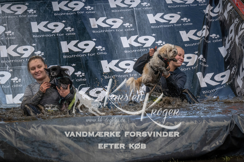 1557_ZZ91490 | kk-dogfotos