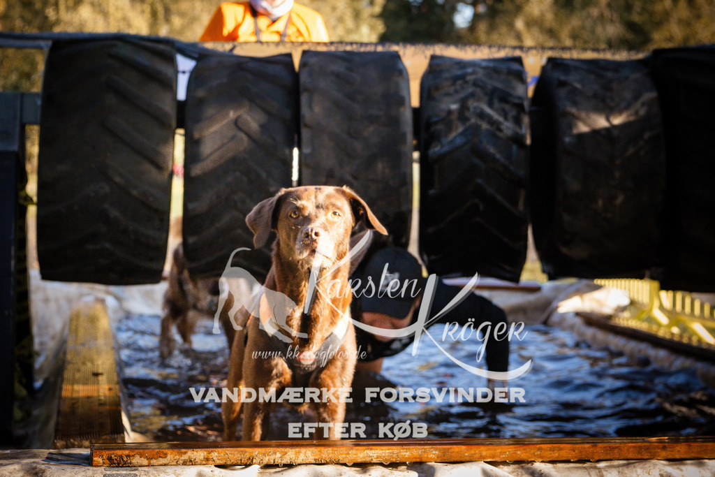 0927_ZZ91054 | kk-dogfotos
