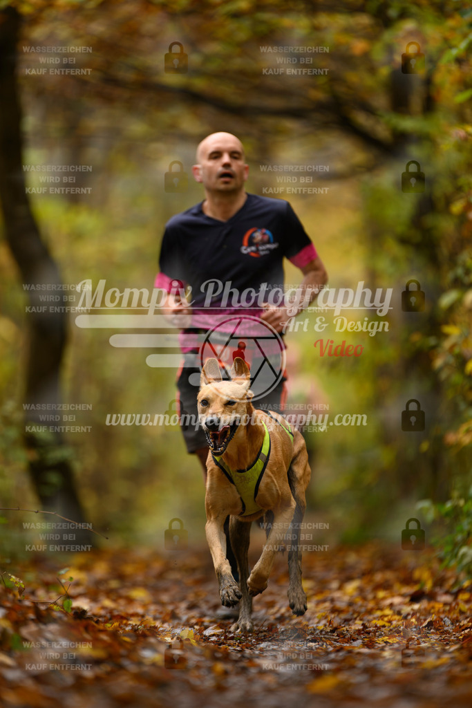 MompixPhotography_CD7S_DI_CCL-2 | mompixphotography