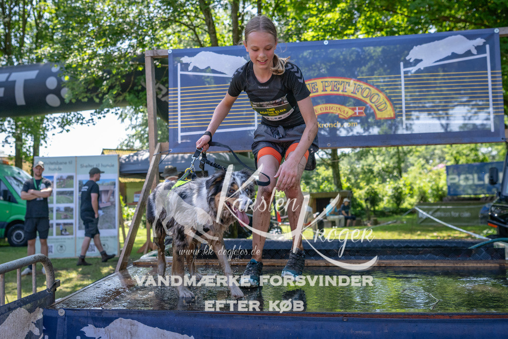 1358_ZZ93151 | kk-dogfotos