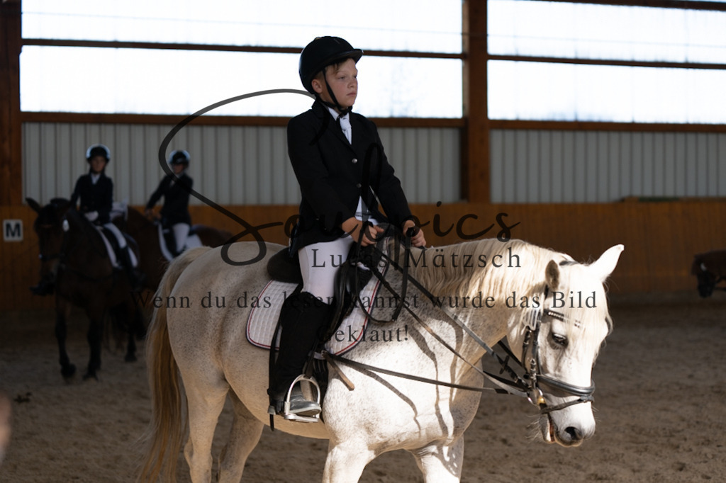 A7V02127 | Turnier/Reitfotograf