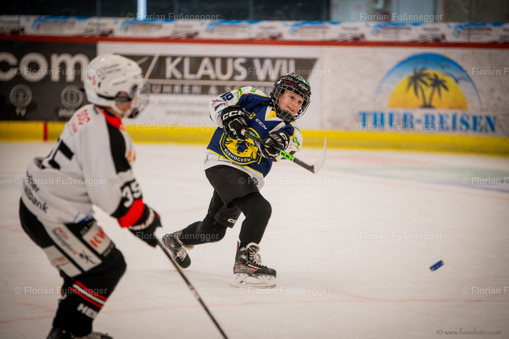 DSC_1261 | "Fussifoto.com – Ihr Ansprechpartner für hochwertige Fotografie! Entdecken Sie kreative Bilder und professionelle Dienstleistungen. Kontaktieren Sie uns für Ihre Projekte!"