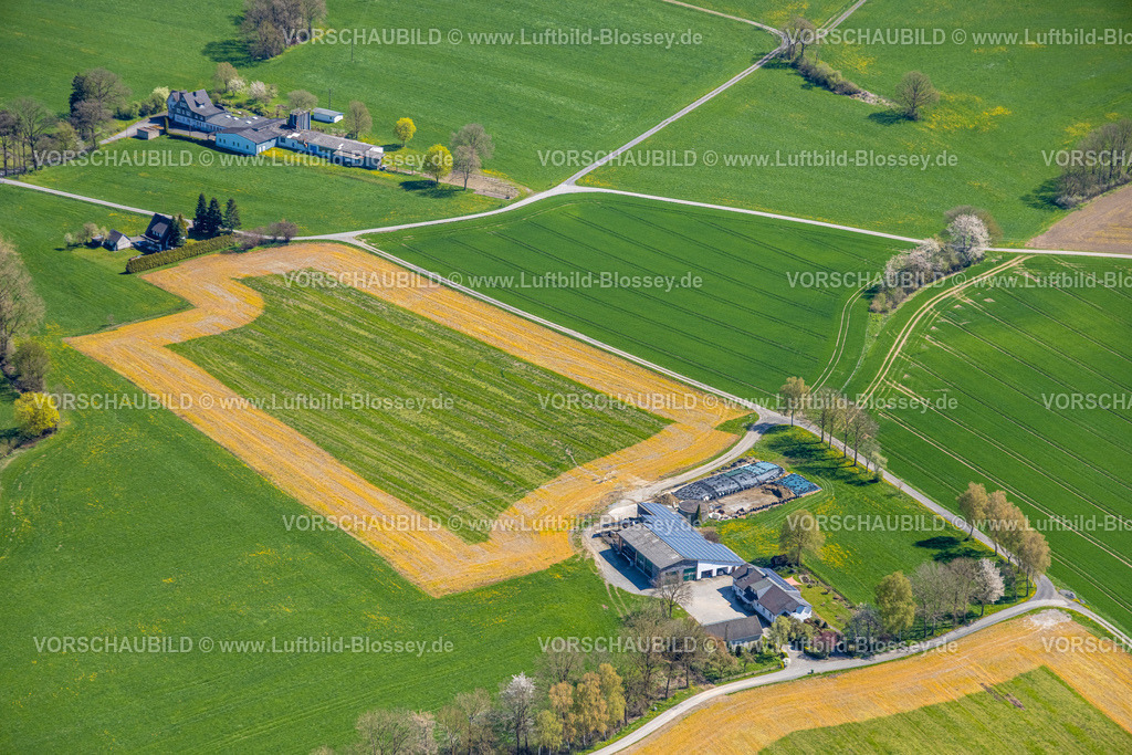 Eslohe260403542 | Luftbild, landwirtschaftliche Wiesenfläche und Betrieb an der Mescheder Straße, Ortsteil Reiste, Eslohe, Sauerland, Nordrhein-Westfalen, Deutschland