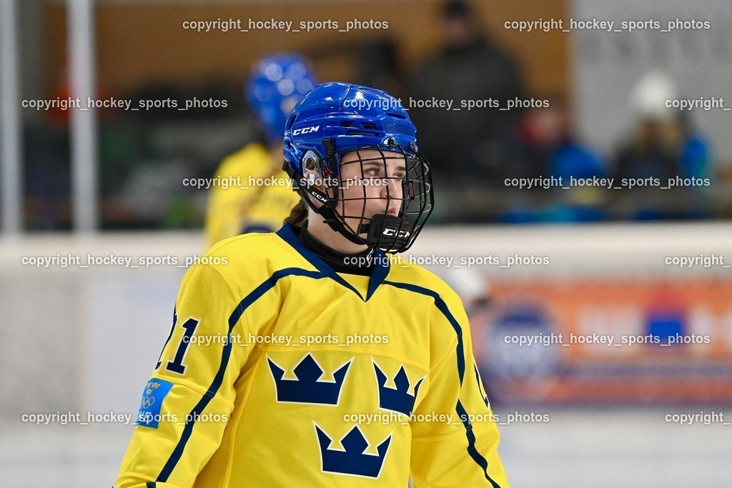 BST_5144 | hockey sports photos, Pressefotos, Sportfotos, hockey247, win 2day icehockeyleague, Handball Austria, Floorball Austria, ÖVV, Kärntner Eishockeyverband, KEHV, KFV, Kärntner Fussballverband, Österreichischer Volleyballverband, Alps Hockey League, ÖFB, 