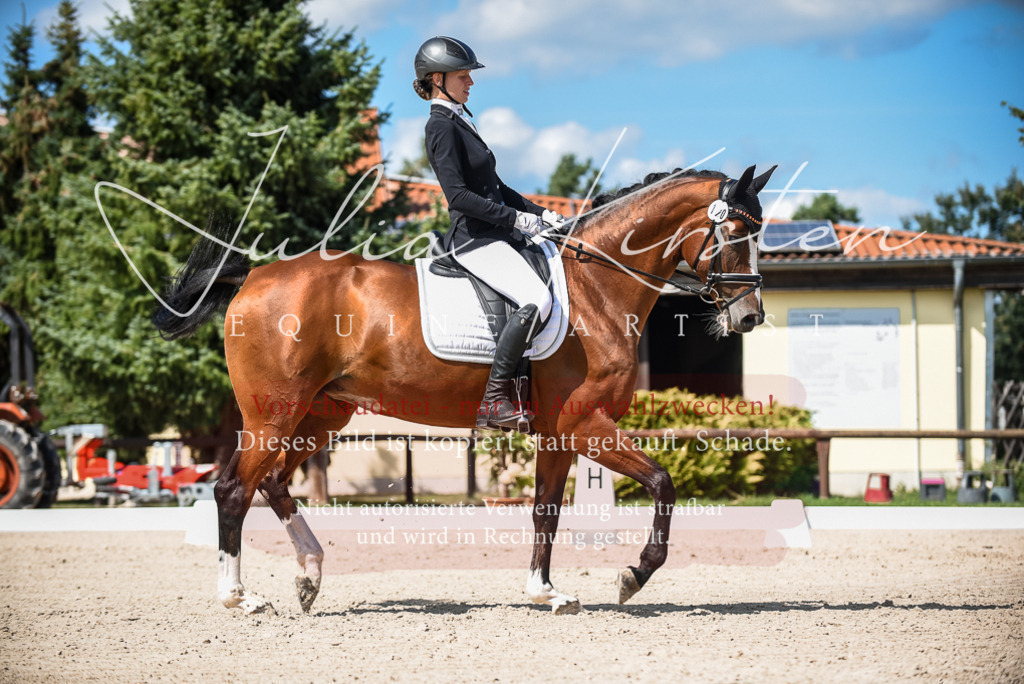 DSC_9474 | Pferde- und Turnierfotografie in Westsachsen. Pferdeportraits, Auftragszeichnungen und intuitive Kunst.