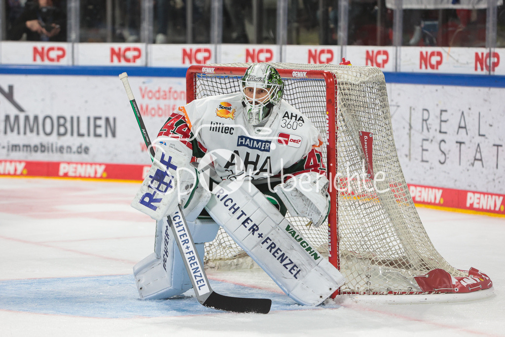Nuernberg ICE Tigers - Augsburger Panther | Dennis ENDRAS (AEV #44) in Aktion