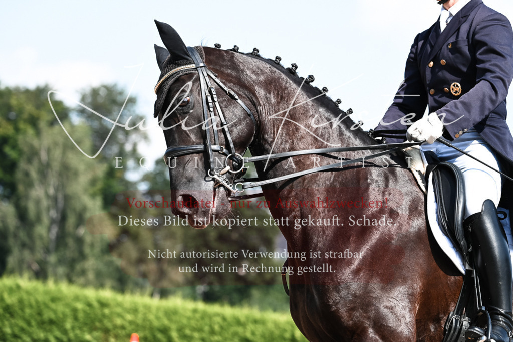 DSC_2987 | Pferde- und Turnierfotografie in Westsachsen. Pferdeportraits, Auftragszeichnungen und intuitive Kunst.
