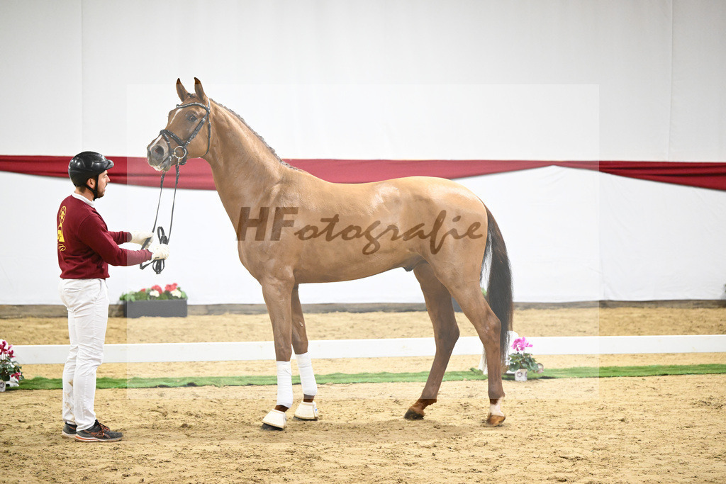 Kat-Nr. 59 v. Viva Gold_Casper u Eulich_63221718 | hf-fotografie - Realizzato con Pictrs.com