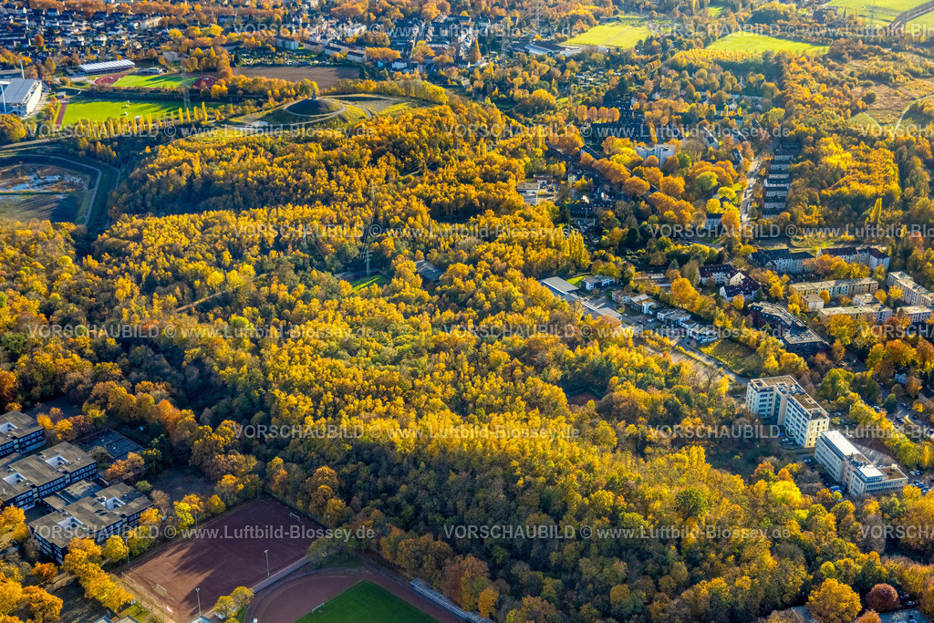 Gelsenkirchen251102989 | Luftbild, Halde Rheinelbe, Bergehalde mit Skulptur Himmelstreppe, Skulpturenwald Rheinelbe, Ückendorf, Gelsenkirchen, Ruhrgebiet, Nordrhein-Westfalen, Deutschland