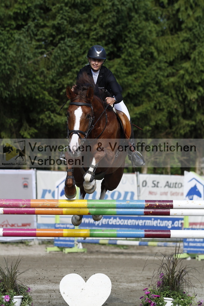 _MG_1229 | equestrian-live-com