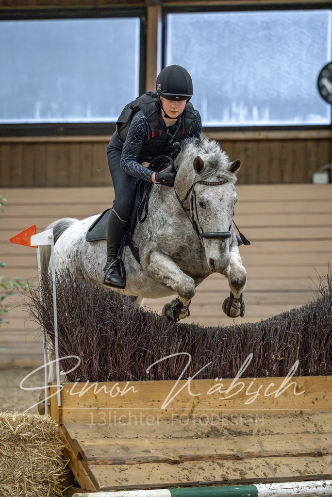 20260222-_3LI0984 | Tierfotografie Pferde, Hunde, Katzen, Haustiere.
Turnierfotografie Reitturniere, Reiten, Springreiten, Dressur in Hanau, dem Main-Kinzig-Kreis und dem Rhein-Main- Gebiet um Frankfurt