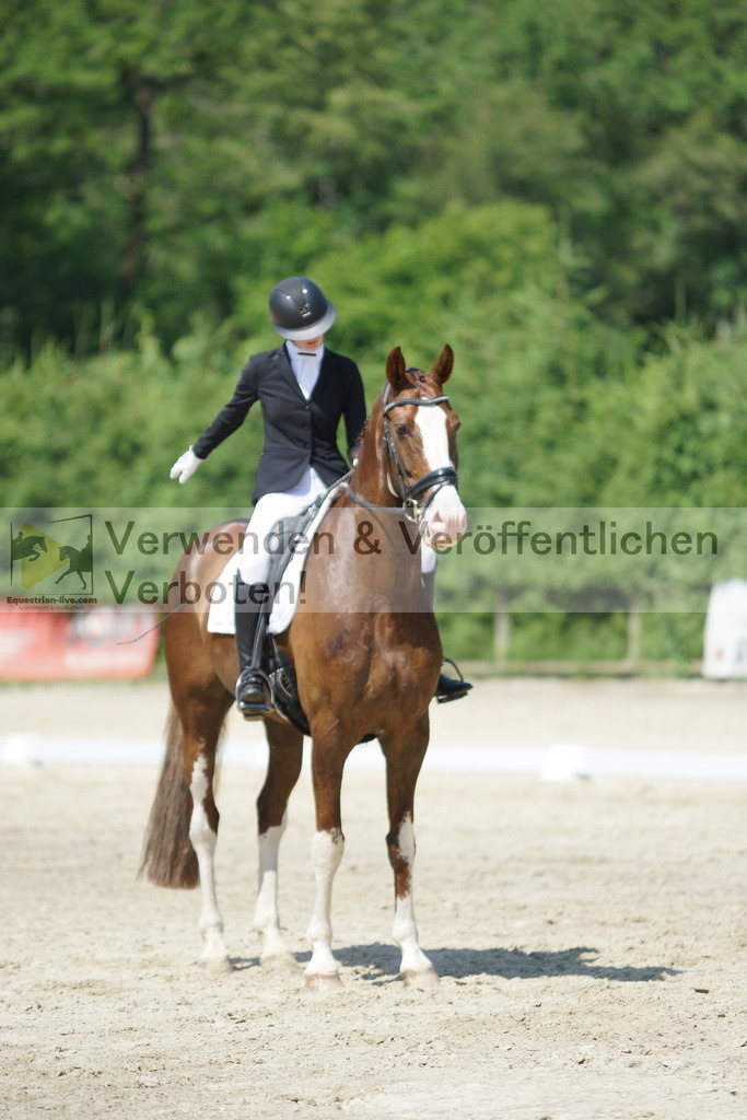 DSC01648 | equestrian-live-com