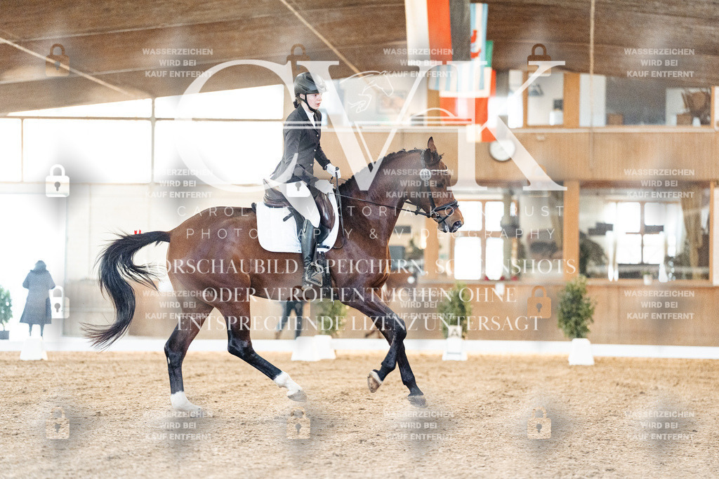 CK906516 | Turnierfotografie Pferdefotografie Trier Rheinland-Pfalz Pferdesport Reitsport Tierfotografie Sportfotografie Pferdevideo Pferdevideografie Equestrianvideography equestrianphotography  - Realized with Pictrs.com