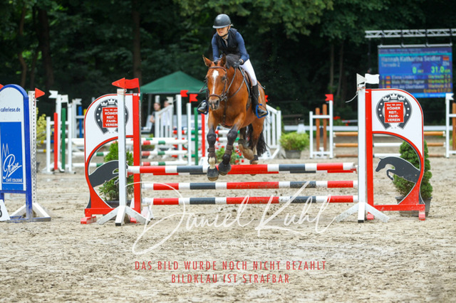 DKP44788 | Turniersportfotografie; Pferdefotografie; Dressurfotografie