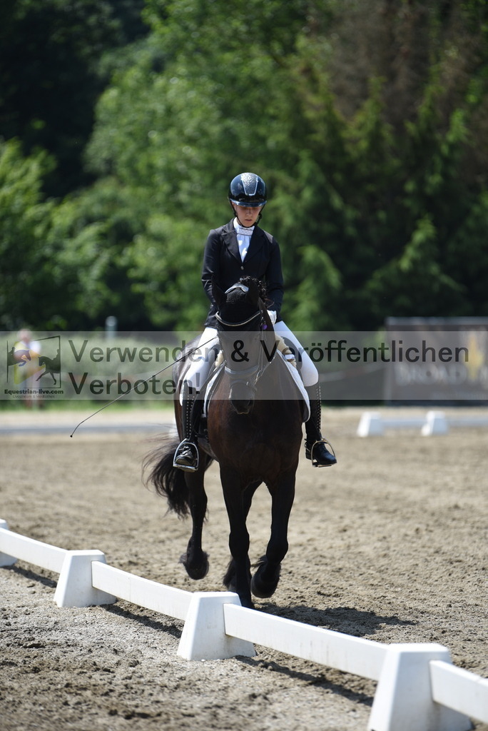 DSC_0533 | equestrian-live-com