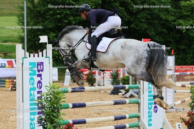 OHT2051 | Fotografie, Tiere, Hunde, Katzen, Pferde, Sportfotografie, Fotosession, Tierfotografie, Turnierfotografie, Fotografin, Fotograf - Realisiert mit Pictrs.com