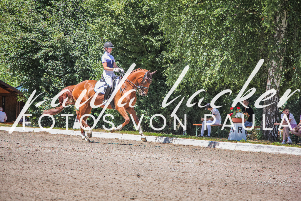 IMG_0863 | Erleben Sie dynamische Sport- und emotionale Tierfotografie in Süddeutschland mit Fotos von Paula. Spezialisiert auf Pferde- und Hundefotografie sowie Sportevents. Kontaktieren Sie mich für einzigartige und ausdrucksstarke Bilder Ihrer besonderen Momente. - Realisiert mit Pictrs.com