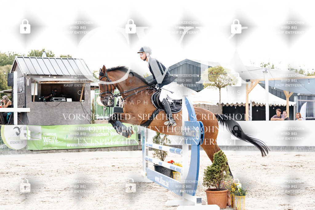 CK902321 | Turnierfotografie Pferdefotografie Trier Rheinland-Pfalz Pferdesport Reitsport Tierfotografie Sportfotografie Pferdevideo Pferdevideografie Equestrianvideography equestrianphotography  - Realisiert mit Pictrs.com