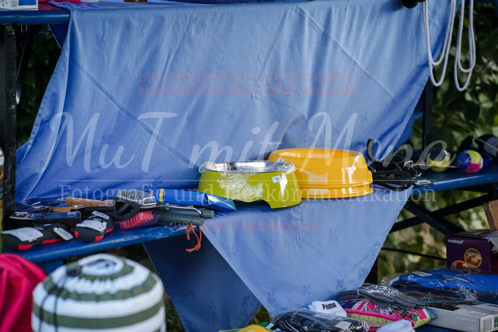 20250928_Hunderennen-335 | MuT (Mensch und Tier) mit Mona - Fotografie und Tierkommunikation - Realisiert mit Pictrs.com