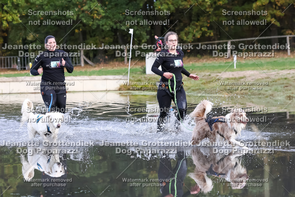 Dog Paparazzi - Strongdog 10-25-6909 | Dog Paparazzi Jeanette Grottendiek Fotografie & Videografie - Realisiert mit Pictrs.com