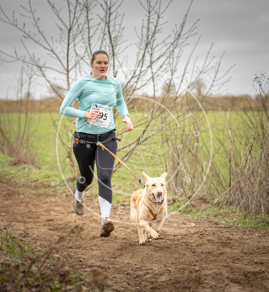 DV3A2302 | Hundefotografie, Tierfotograf, Pfotenfotografie, Fotoshooting Hund, Hunde Portrait, Hundesport, Hundeportraits, Heideshooting, Hunde, Sportfotograf, Hundefotograf, Turnierhundsport, THS,  - Realisiert mit Pictrs.com