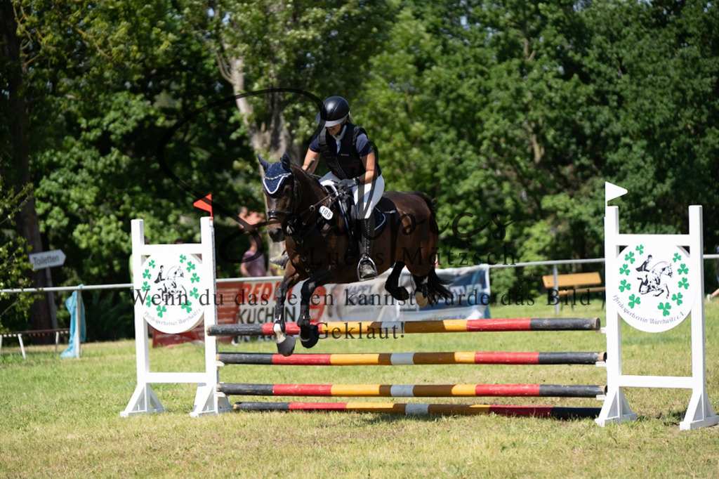 A7V05731 | Pferdefotograf