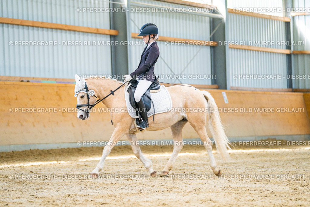 DSC07178 | Pferdegrafie