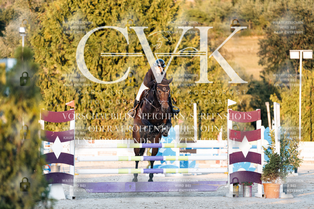 CK901226 | Turnierfotografie Pferdefotografie Trier Rheinland-Pfalz Pferdesport Reitsport Tierfotografie Sportfotografie Pferdevideo Pferdevideografie Equestrianvideography equestrianphotography  - Realisiert mit Pictrs.com