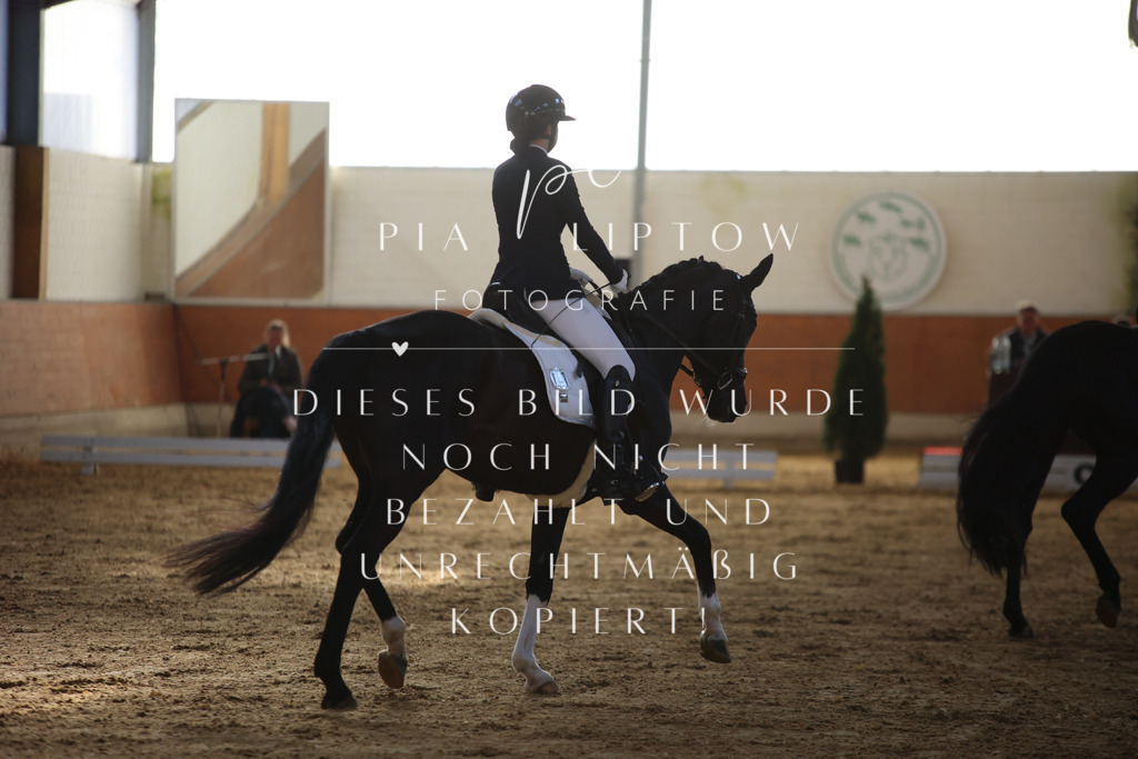 IMGT6167 | pl-fotografie