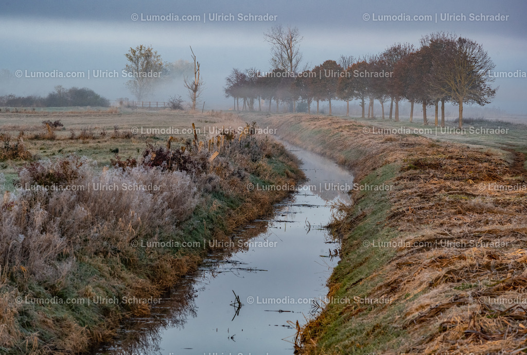 10049-12728 - Herbst im Großen Bruch | Stockfoto und Bilderpool mit Bildmaterial aus Deutschland, dem Harz, Halberstadt, Quedlinburg, Wernigerode und weltweit. Qualitativ hochwertige und professionelle Fotos anschauen und kaufen. - Realisiert mit Pictrs.com