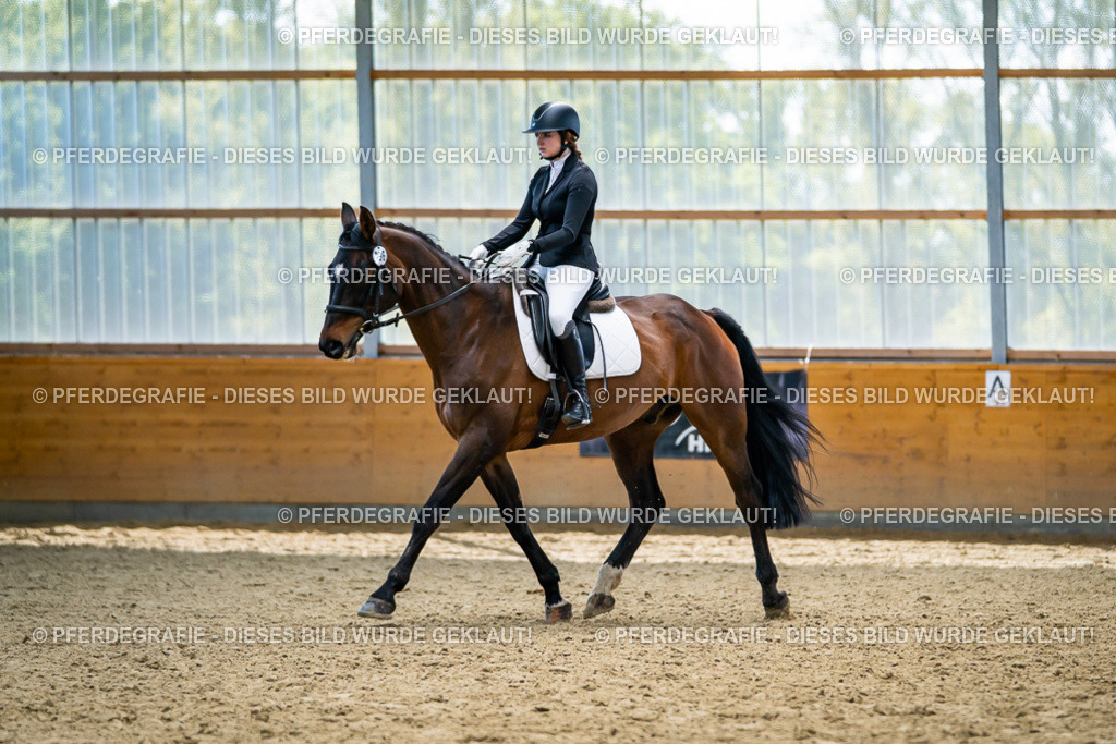 DSC05649 | Pferdegrafie