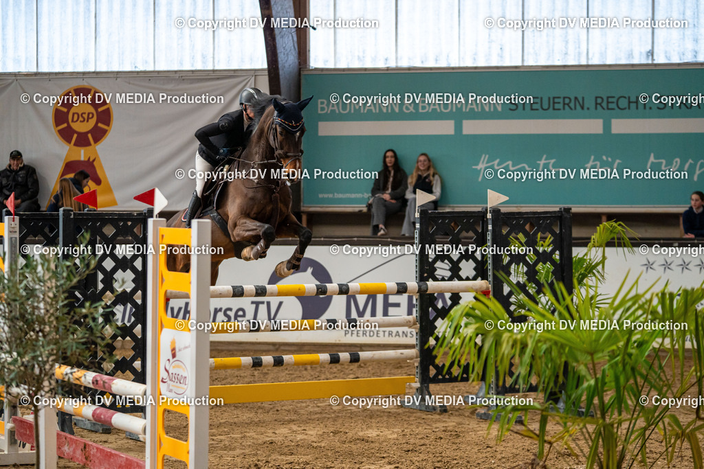 Kranichstein Tag 2-499 | dv-media-shop - Realisiert mit Pictrs.com