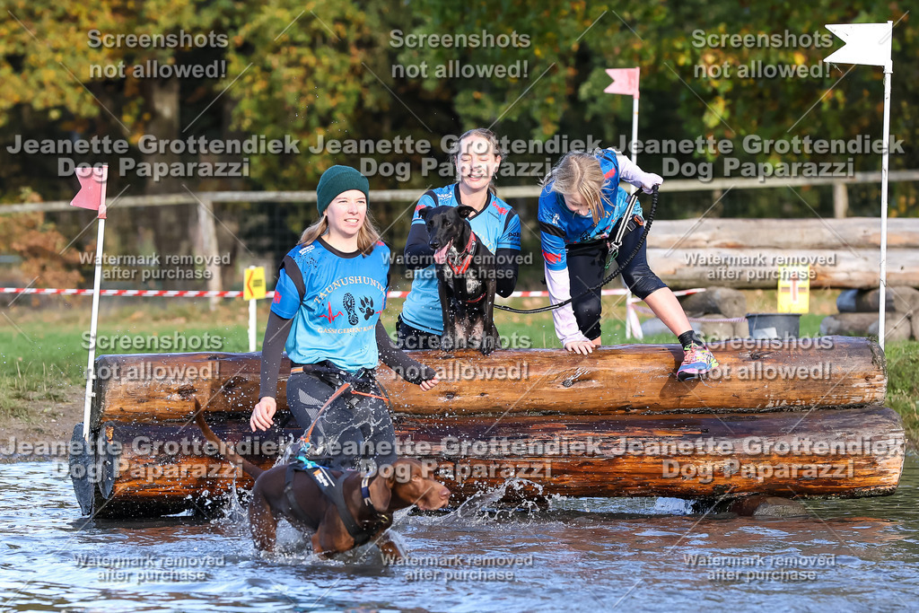 Dog Paparazzi - Strongdog 10-25-8583 | Dog Paparazzi Jeanette Grottendiek Fotografie & Videografie - Realisiert mit Pictrs.com