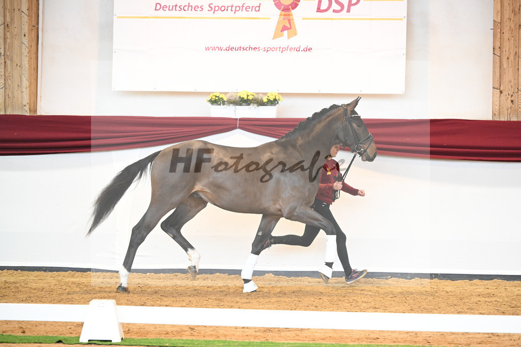 Kat-Nr. 43 v. Mykonos_Sommer_66220928 | hf-fotografie - Realisiert mit Pictrs.com