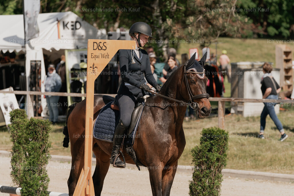 WE_ST_Stoib_316_PI2025_947 | Pferd International München 2025