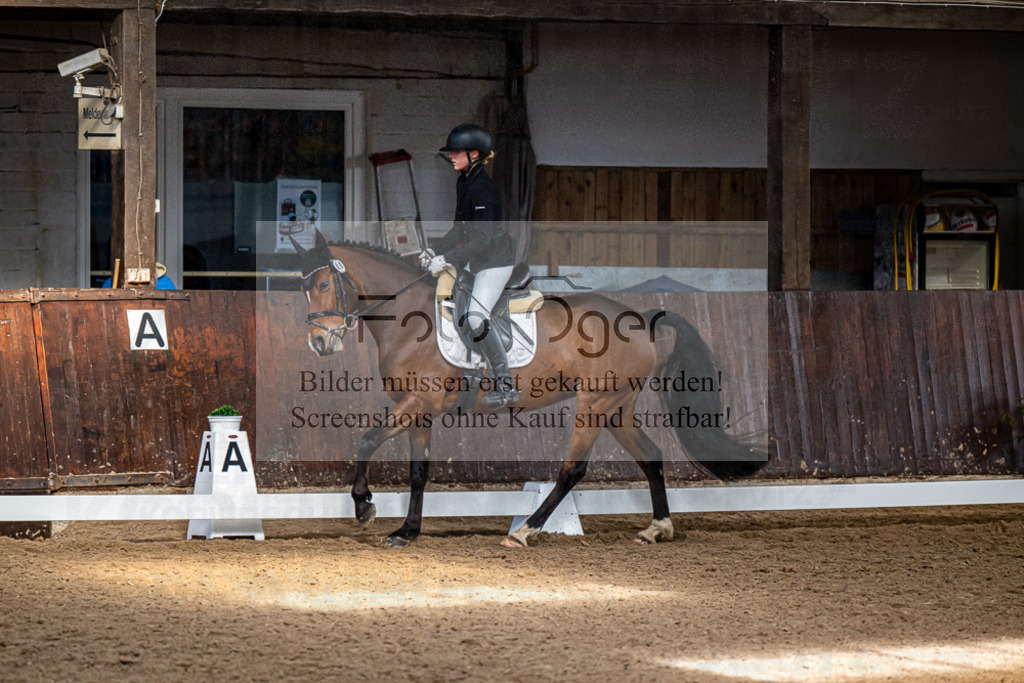 20240310-DOS_1036 | Entdecke hochwertige Reitturnierfotos von Foto Oger. Professionell, emotional und authentisch – jetzt Lieblingsmomente im Shop bestellen.Deutschlandweite Turnierfotografie. - Realisiert mit Pictrs.com