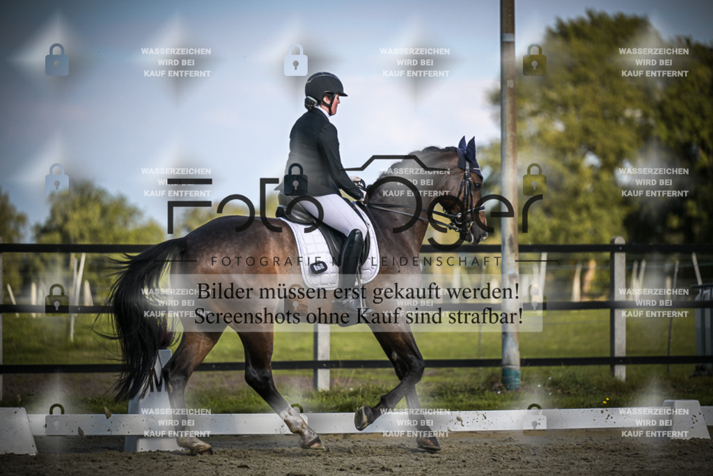 DOS_4761 | Entdecke hochwertige Reitturnierfotos von Foto Oger. Professionell, emotional und authentisch – jetzt Lieblingsmomente im Shop bestellen.Deutschlandweite Turnierfotografie. - Realisiert mit Pictrs.com