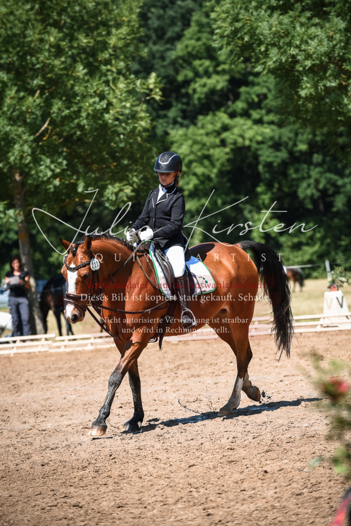 DSC_3453 | Pferde- und Turnierfotografie in Westsachsen. Pferdeportraits, Auftragszeichnungen und intuitive Kunst.