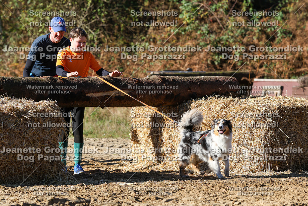 Dog Paparazzi - Strongdog 10-25-2038 | Dog Paparazzi Jeanette Grottendiek Fotografie & Videografie - Realisiert mit Pictrs.com