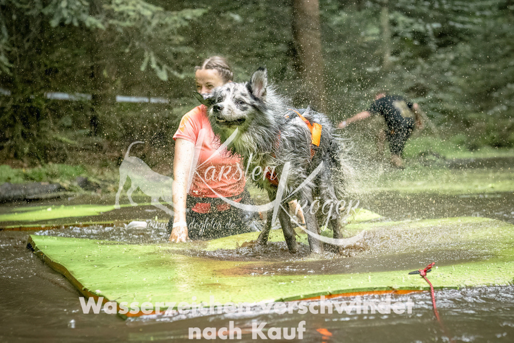1440_ZZ93263-Bearbeitet | kk-dogfotos