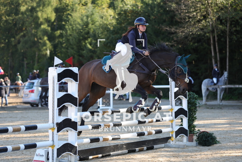 0P6A0252 | Willkommen bei Brunnmayr - Design & Fotografie – Ihrem Spezialisten für Reitturniere und Pferdeveranstaltungen in Oberösterreich, Salzburg und Bayern! Seit über 17 Jahren sind wir leidenschaftlich dabei.