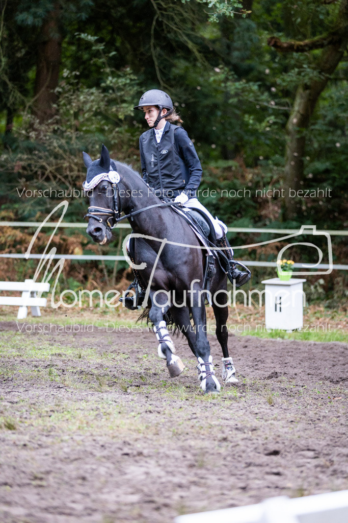 HB-JaD-060 | MomenTaufnahmen Pferdesportfotos