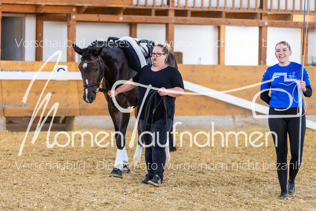 VTD-Voltigierpferde-048 | MomenTaufnahmen Pferdesportfotos