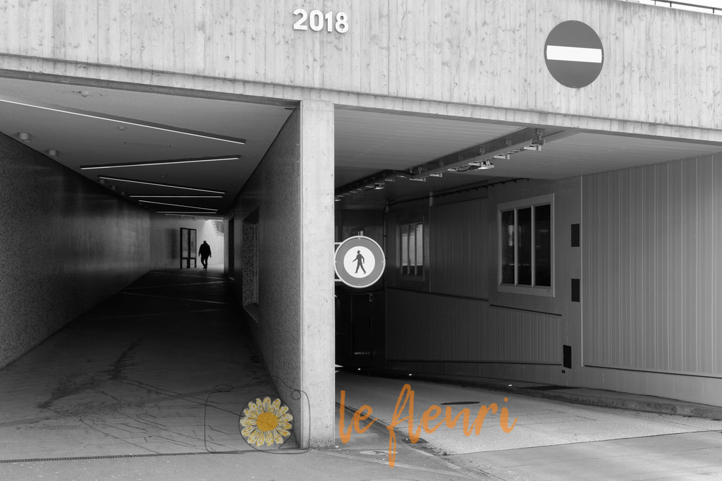 DSC_0416-NEF_DxO_PRIME | Dies ist der Shop von Florian Blum - le fleuri. Langenthal, Bern, Schweiz. Sie können hier meine oder ihre eigenen Fotos als Fotoprodukte kaufen. Tassen, Schlüsselanhänger, Taschen etc. können Sie hier gestalten.  - Realisiert mit Pictrs.com