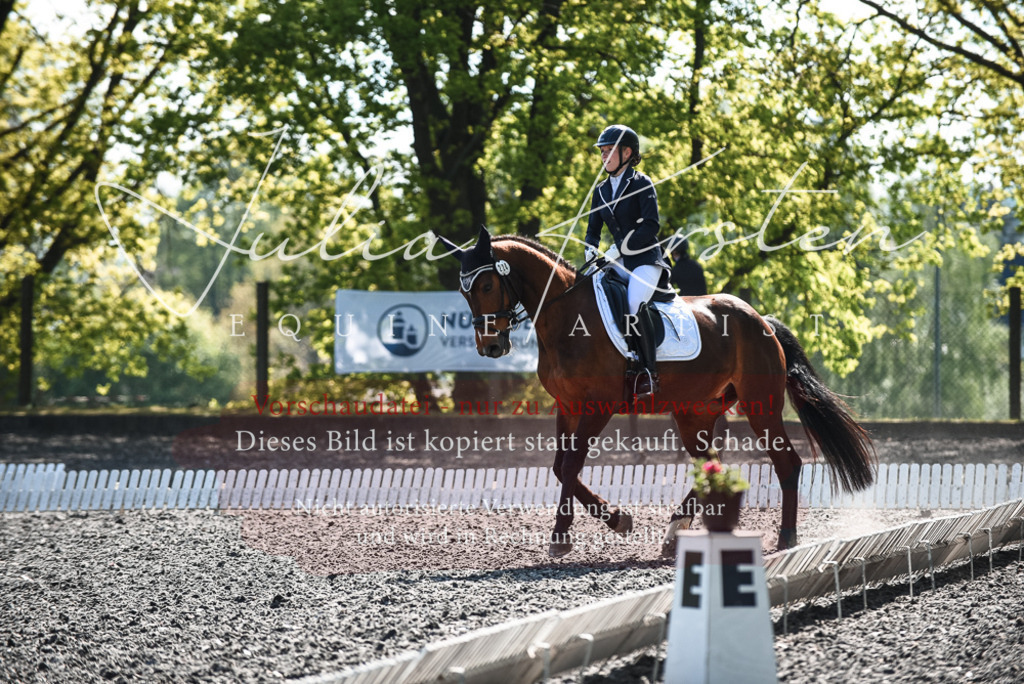 DSC_8902 | Pferde- und Turnierfotografie in Westsachsen. Pferdeportraits, Auftragszeichnungen und intuitive Kunst.