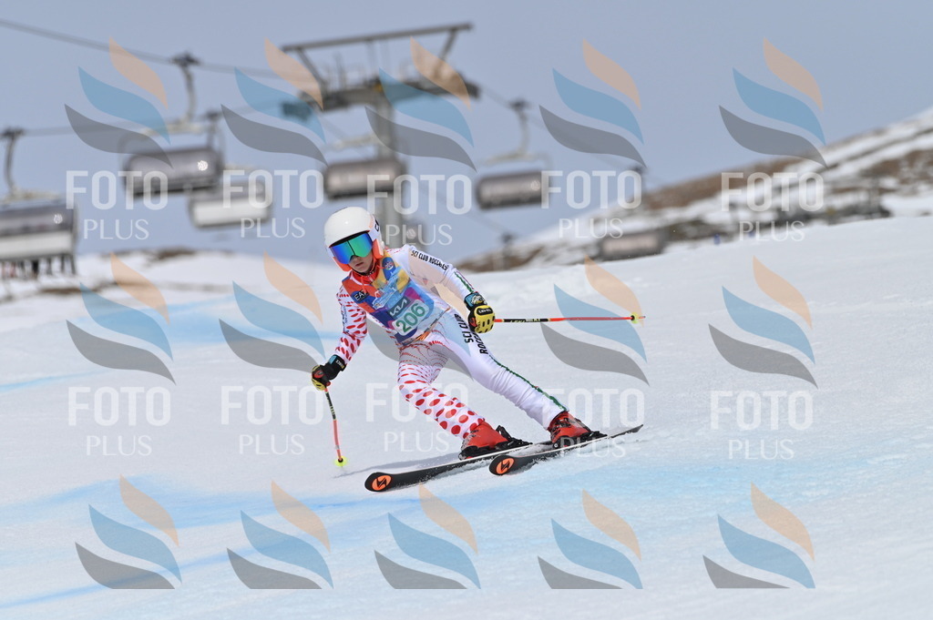 BGV_3978 | holidayphoto