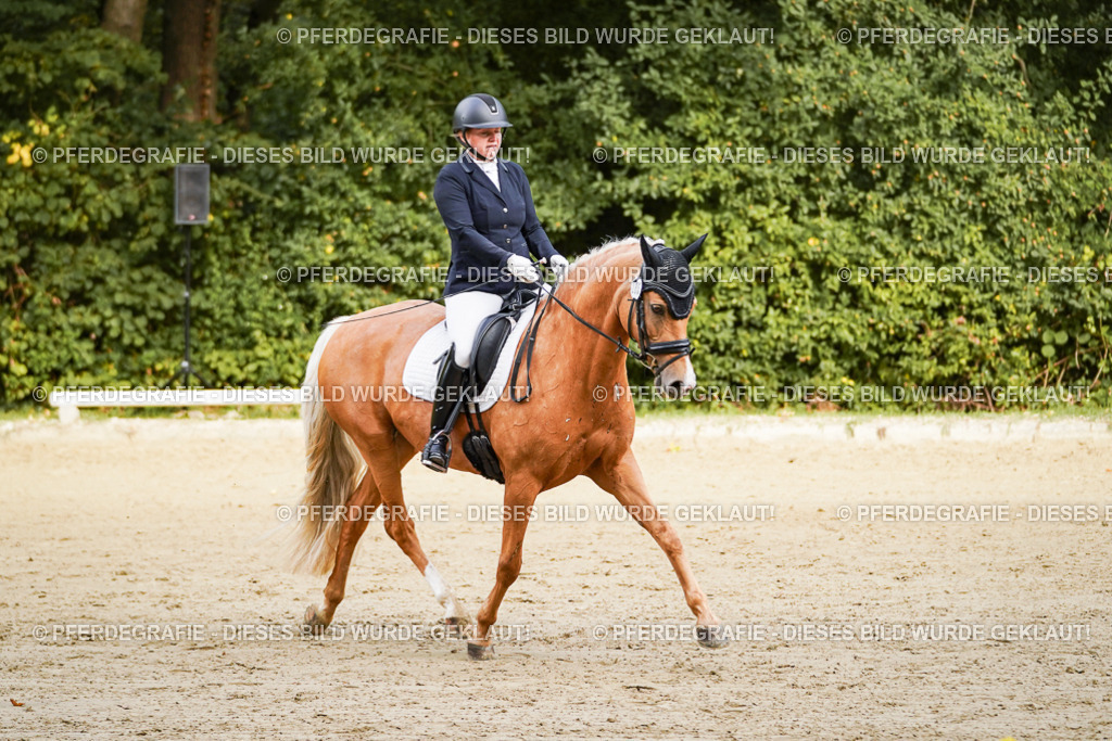 DSC09325 | Pferdegrafie